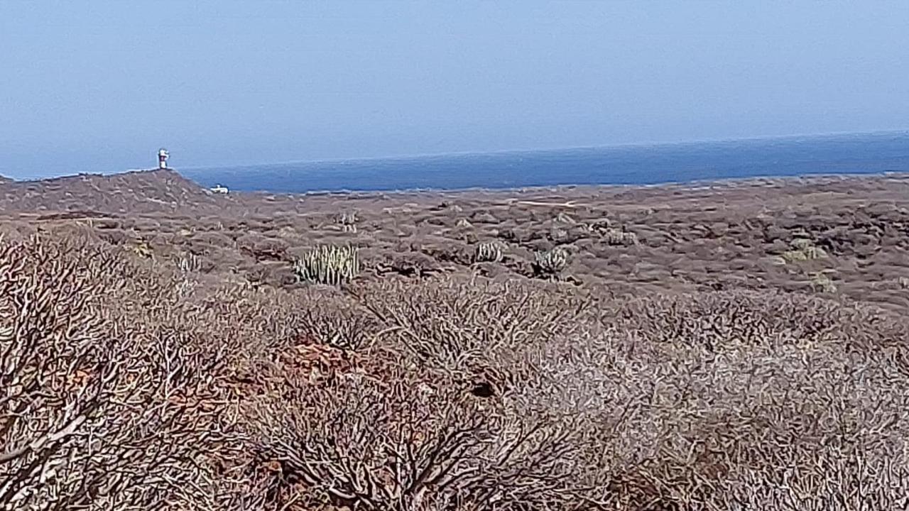 Paraiso Del Palm Mar Eksteriør bilde